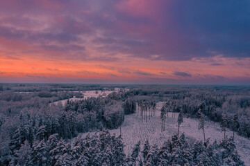 sunset over the winter forest from above - obrazy, fototapety, plakaty