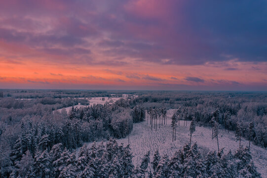 Sunset Over The Winter Forest From Above