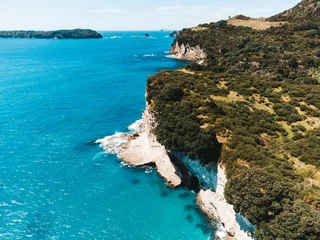 Foto auf Leinwand Drone photo above Cathedral Cove in New Zealand showing beaches, different rock formations, flora and fauna. © Sam