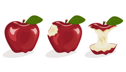 The process of eating an apple. Whole and core apple. Vector illustration