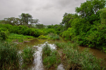 Wide river in the heart of the Kruger Park in South Africa