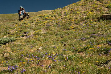 Photographer taking pictures of the tundra; Rocky Mtn NP; Colorado