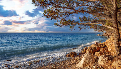 Rocky seashore on the Adriatic coast. Croatia.