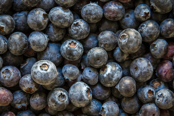 Blueberries closeup view background