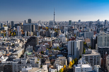 Naklejka premium スカイツリーと東京の町並み Skytree and Tokyo cityscape