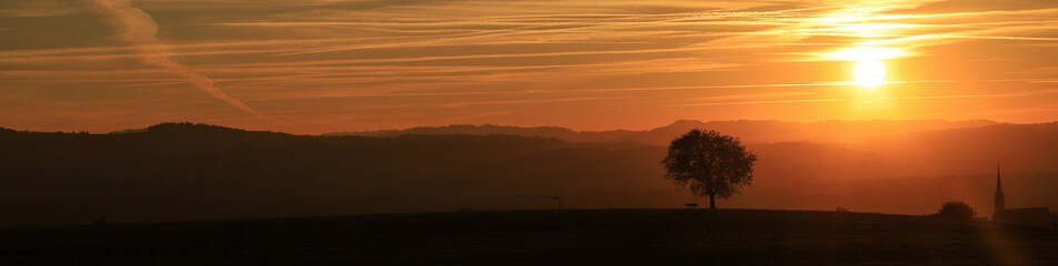 silhouette of a single tree with dramatic sunset sky