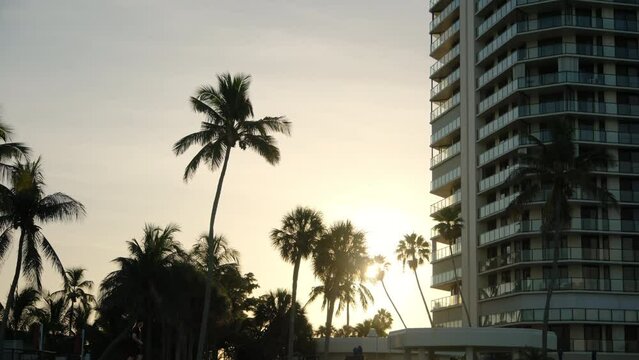 Morning run on Sandy beach, sunrays breaking through palm trees