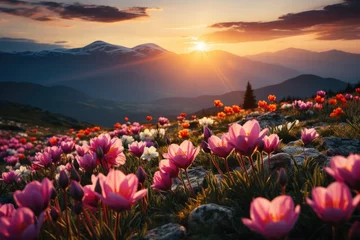 Wandaufkleber A field of vibrant flowers swaying gently in the breeze as the sun dips below the horizon, casting a warm golden light over the landscape © nnattalli