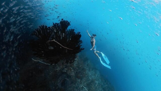 Freediver swimming underwater along the coral reef with lots of tiny fish