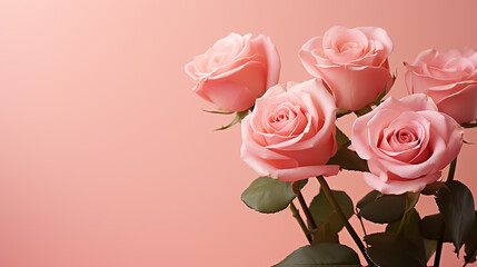 Spring bouquet of pink roses on an isolated pink background with copyspace, pastel colors.
