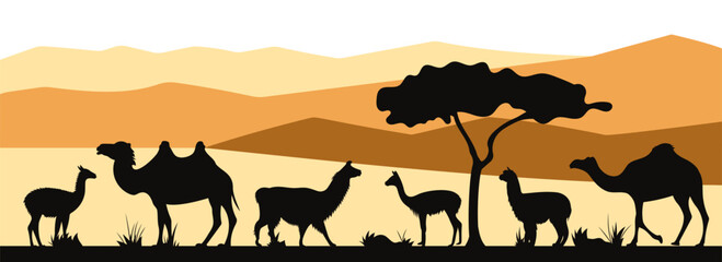 International Year of Camelids. Landscape with bactrian camel, alpaca, dromedary, guanaco, llama, vicuña silhouettes. Horizontal banner. Vector illustration.