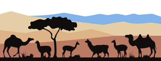 International Year of Camelids. Landscape with bactrian camel, alpaca, dromedary, guanaco, llama, vicuña silhouettes. Horizontal banner. Vector illustration.