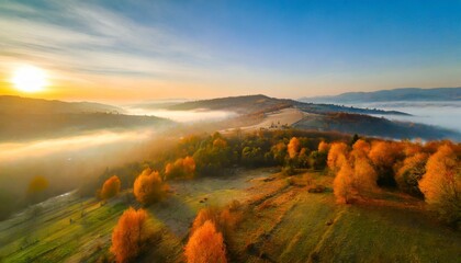 aerial view of beautiful orange trees on the hill in fog in mountain valley at sunrise in autumn in ukraine colorful landscape with foggy forest fields and meadows blue sky woods in fall nature