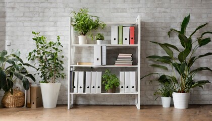 office bookcase with plants and folders over wall - obrazy, fototapety, plakaty
