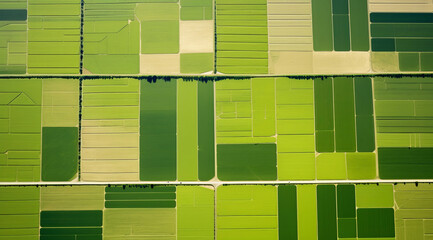 Aerial landscape view of pattern of agricultural fields with roads. Shades of green suggest crop diversity or stages of growth, presenting rich farmland and sustainable agriculture.
