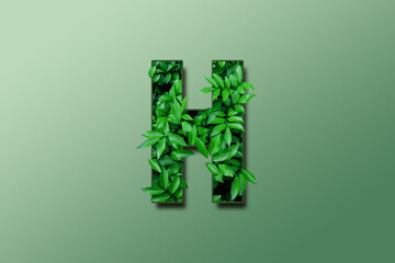 Leaf font H isolated on white green gradient background. Leafs font H made of Real alive leaves...