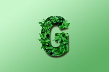 Leaf font G isolated on white green gradient background. Leafs font G made of Real alive leaves...