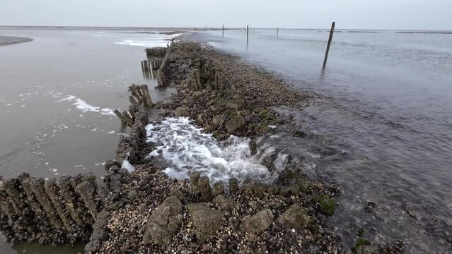 Wasserfall durch Gezeitenstr&ouml;mung im Wattenmeer mit wilden Austern- und Miesmuschelb&auml;nken, Nordsee, Schwenk