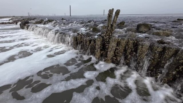 Wasserfall durch Gezeitenstr&ouml;mung im Wattenmeer mit wilden Austern- und Miesmuschelb&auml;nken, Priel, Ebbe, Nordsee