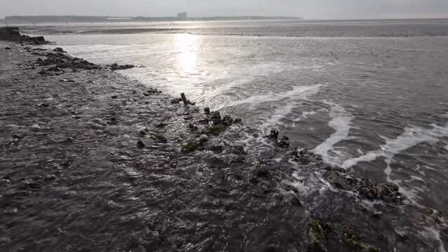 Wasserfall durch Gezeitenstr&ouml;mung im Wattenmeer mit wilden Austern- und Miesmuschelb&auml;nken, Priel, Ebbe, Nordsee