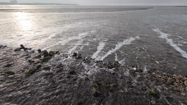 Wasserfall durch Gezeitenstr&ouml;mung im Wattenmeer mit wilden Austern- und Miesmuschelb&auml;nken, Nordsee, Schwenk