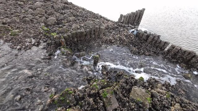 Wasserfall durch Gezeitenstr&ouml;mung im Wattenmeer mit wilden Austern- und Miesmuschelb&auml;nken, Nordsee, Schwenk