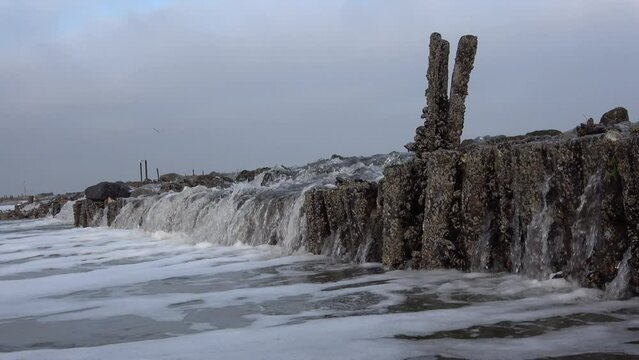 Wasserfall durch Gezeitenstr&ouml;mung im Wattenmeer mit wilden Austern- und Miesmuschelb&auml;nken, Priel, Ebbe, Nordsee