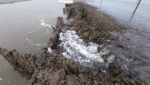 Wasserfall durch Gezeitenstr&ouml;mung im Wattenmeer mit wilden Austern- und Miesmuschelb&auml;nken, Nordsee, Schwenk