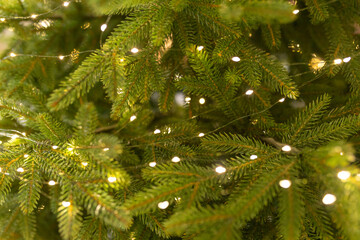 Fototapeta na wymiar Defocused Christmas tree. Defocused Lights. Christmas tree background