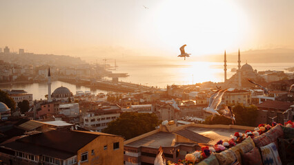Beautiful view on old Istanbul with amazing sunrise on background from high turkish roof. Seagulls...