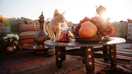 Cute red cat walking on table with fresh fruits and hot tea at popular istanbul terrace. Turkish design pillows and carpets lying near. Summer sunrise on background. - Powered by Adobe