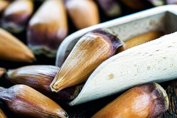 pinhão, Brazilian and European araucaria seed used in the cooking of foods, oils and drinks...