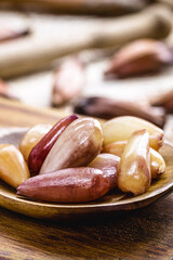 wooden spoon with boiled pine nuts, traditional Brazilian cooking ingredient