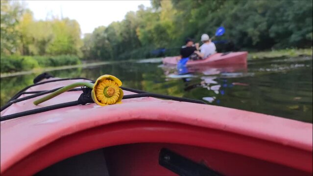Water lily flower on boat first person view shot from boat. Couple in love floats down river kayak sport active holiday weekend Nature landscape summer  Romantic date gift river trip active recreation