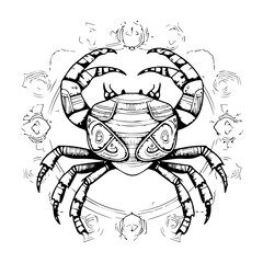 Crab Vector