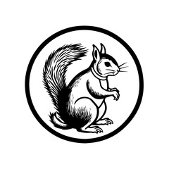 Squirrel Vector