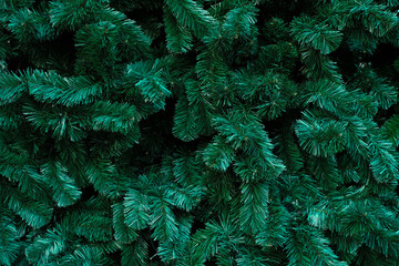 Christmas tree branch - Background