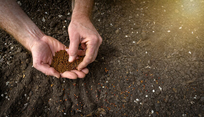 farmer man prepares land with fertilizer to sow seeds