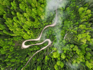 Aerial drone panorama above a narrow canyon winding through beech woodlands. Rainy day. Low altitude clouds form above the forest. Spring season, the tree leaves are bright green. 