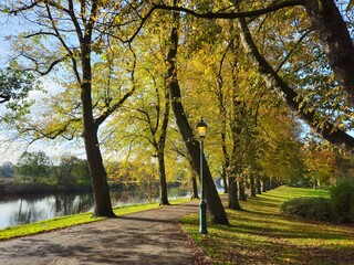 Autumn in the park