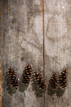 Pine cones on a weathered board