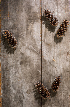 Pine cones on a weathered board