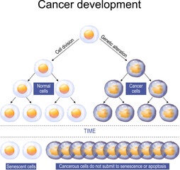Cancer cell development