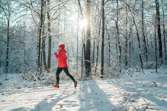 Trail runner woman dressed bright red windproof jacket jogging picturesque snowy forest path during sunny frosty day. Sporty active people and winter training concept image.