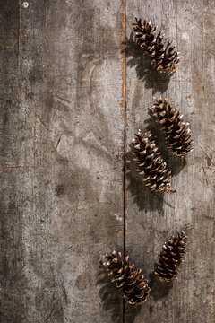 Pine cones on a weathered board