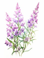 Blooming Angelonia in Watercolor AI Generated
