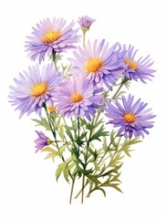 Field of Wild Aster Flowers on White Background AI Generated