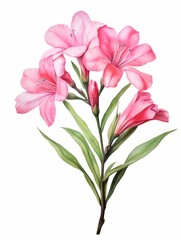 An Artistic Watercolor of a Blooming Oleander AI Generated
