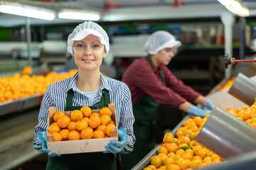 Smiling female worker of citrus sorting factory showing ripe selected mandarin oranges packed in...