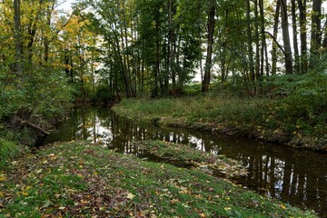 Autumn by the river. Juhyn. Czechia.